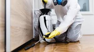 Reliable Eldorado, IL Pest Control Solutions